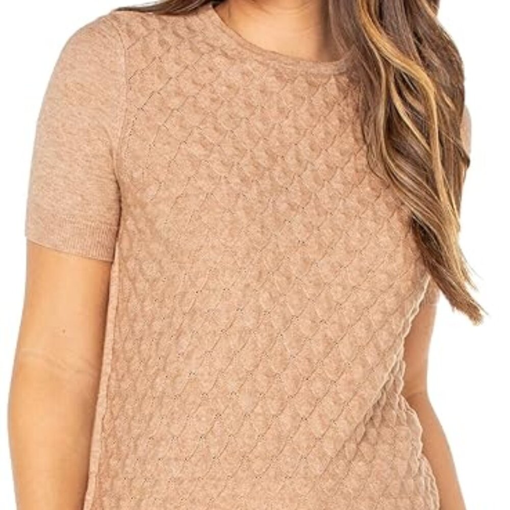 Well Worn Women's Plus Size XXL Tan Short Sleeve Knit Top Sweater NWT
